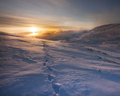 Pays nordique hiver statique type aurore boréales